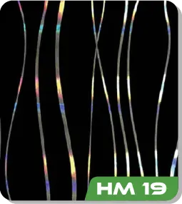 HM 19